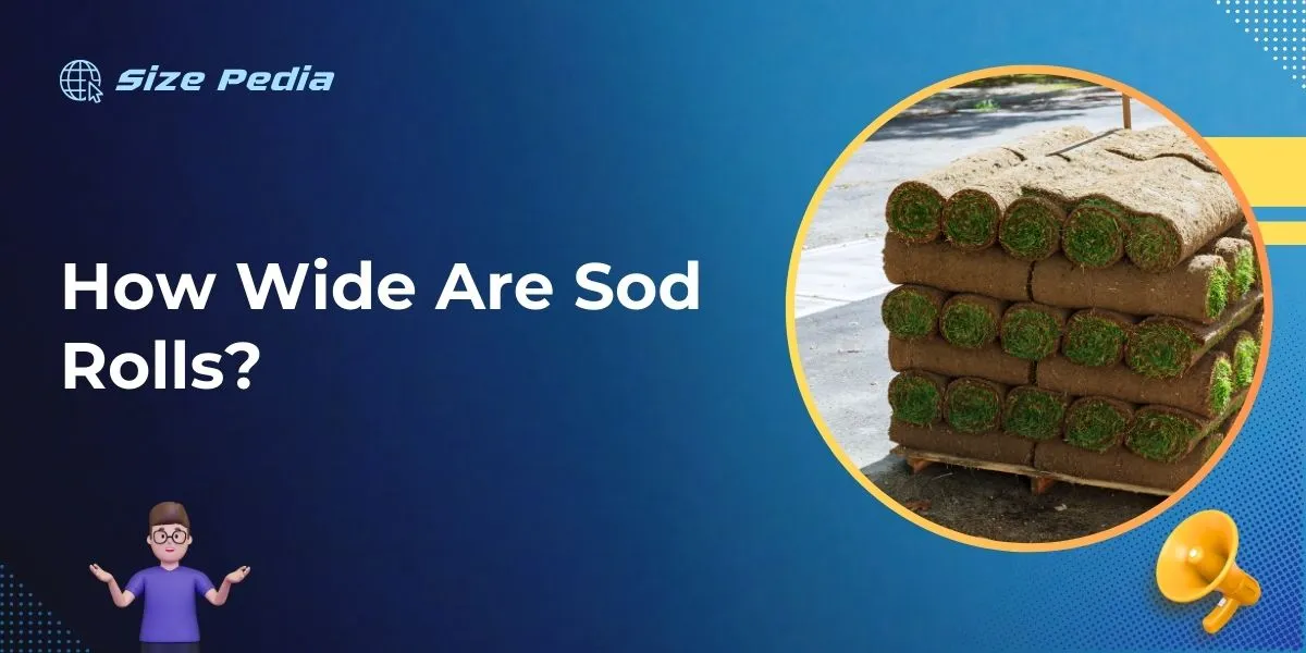 How Wide are Sod Rolls? Unveiling Turf Dimensions