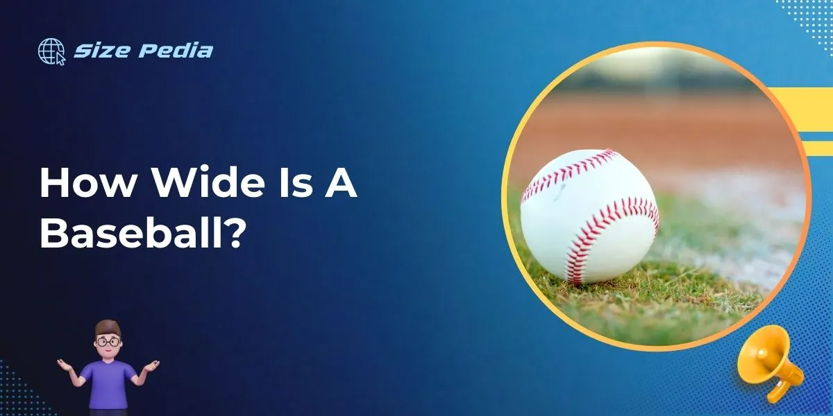 How Wide Is A Baseball?