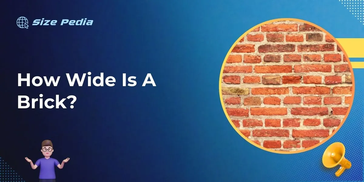 How Wide Is A Brick?