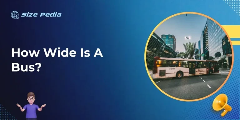 How Wide Is A Bus?