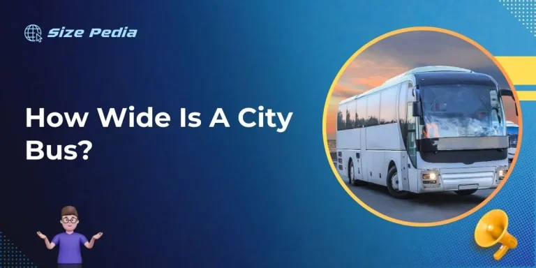 How Wide Is A City Bus?