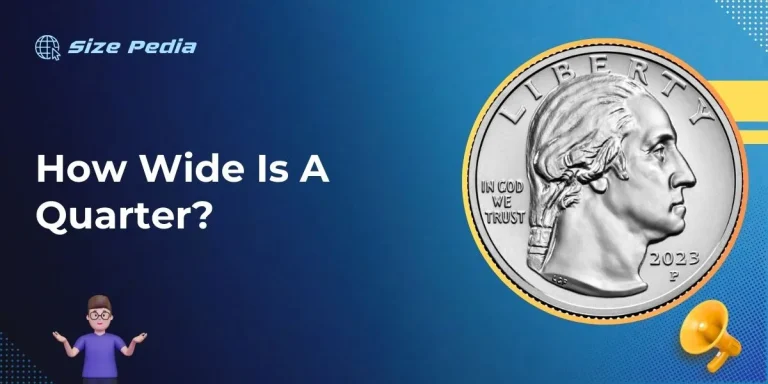 How Wide Is A Quarter?