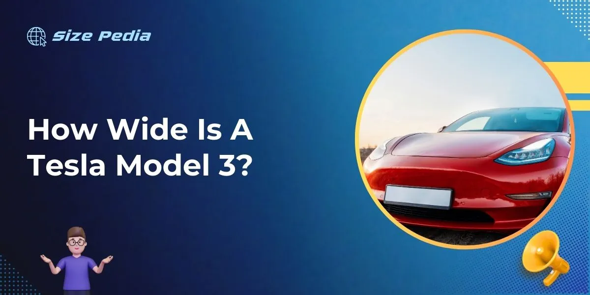 How Wide Is A Tesla Model 3?