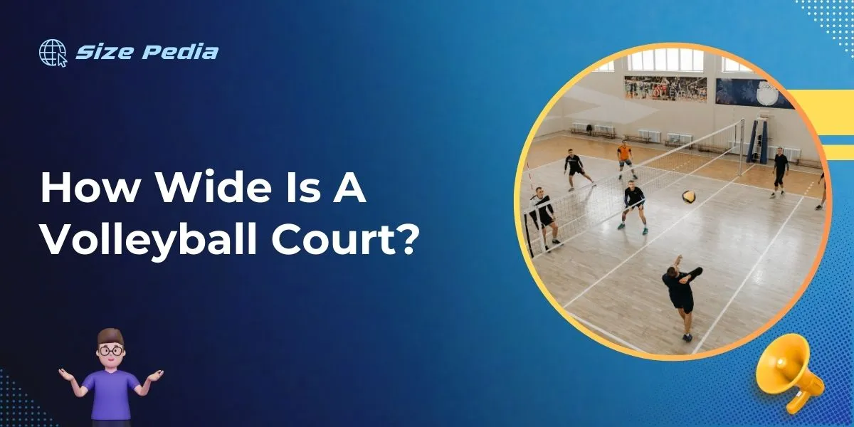 How Wide Is A Volleyball Court?