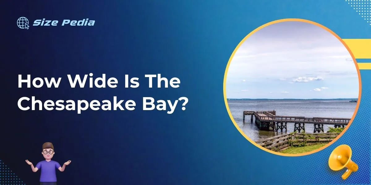 How Wide Is The Chesapeake Bay?