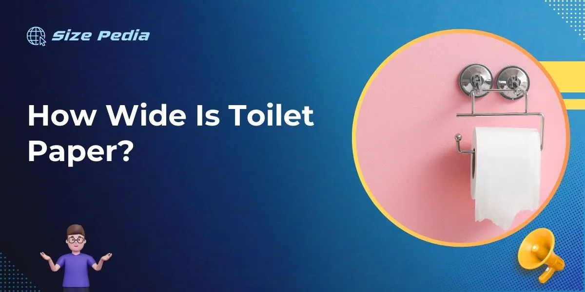 How Wide Is Toilet Paper?