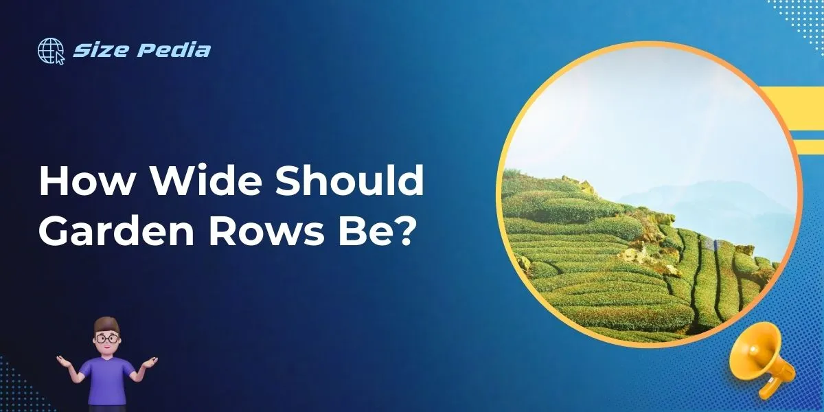 How Wide Should Garden Rows Be? Maximize Your Yield!