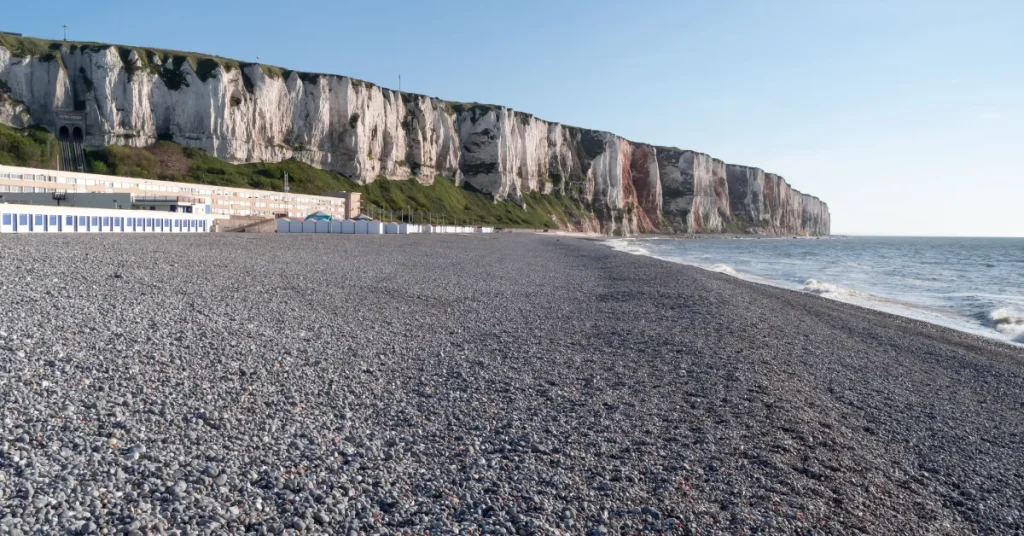 Human Impact On The English Channel