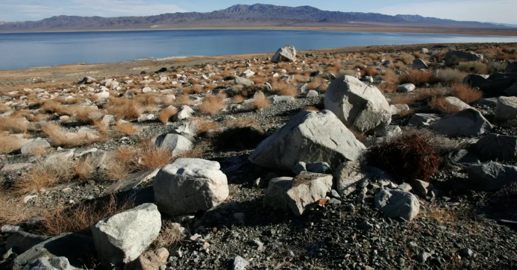 Human Impact On Walker Lake