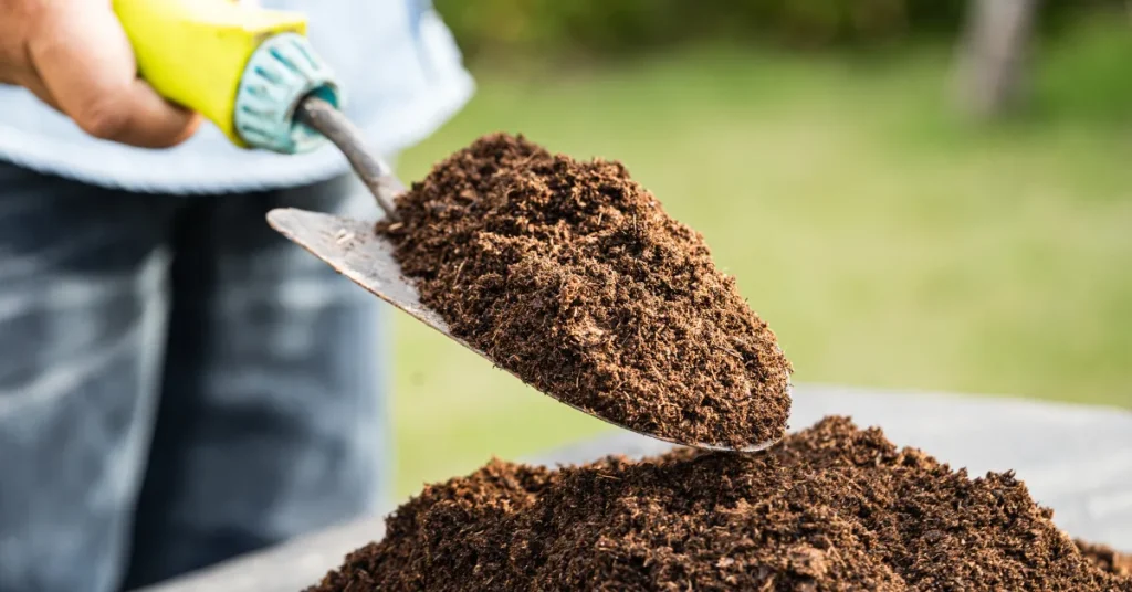 Ideal Topsoil Depth For Thriving Gardens