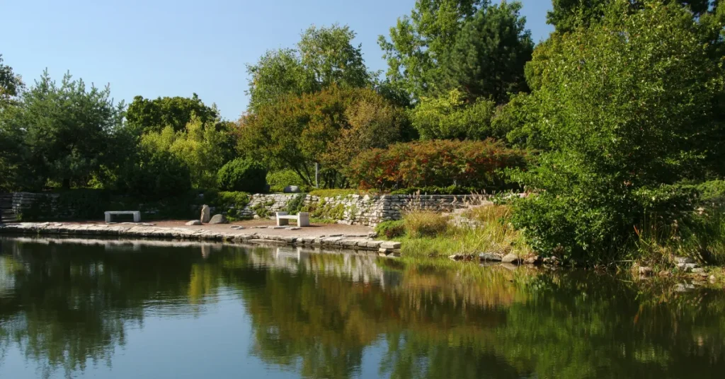 Impacts Of Eastwood Lake's Depth On Local Ecosystem