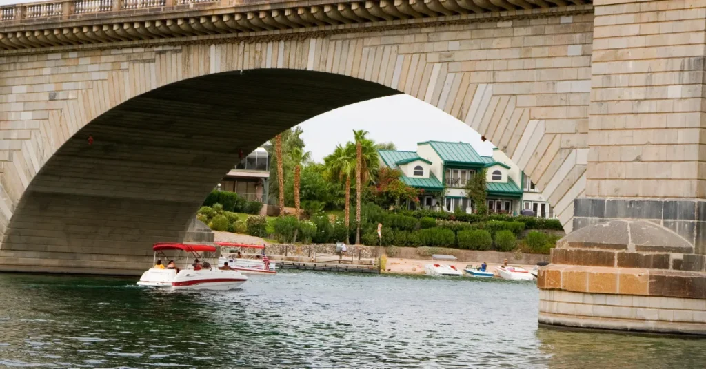 Lake Havasu's Unique Ecosystem