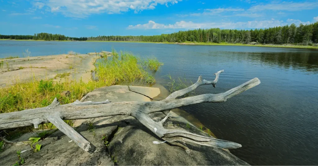 Lake Winnipeg In Numbers