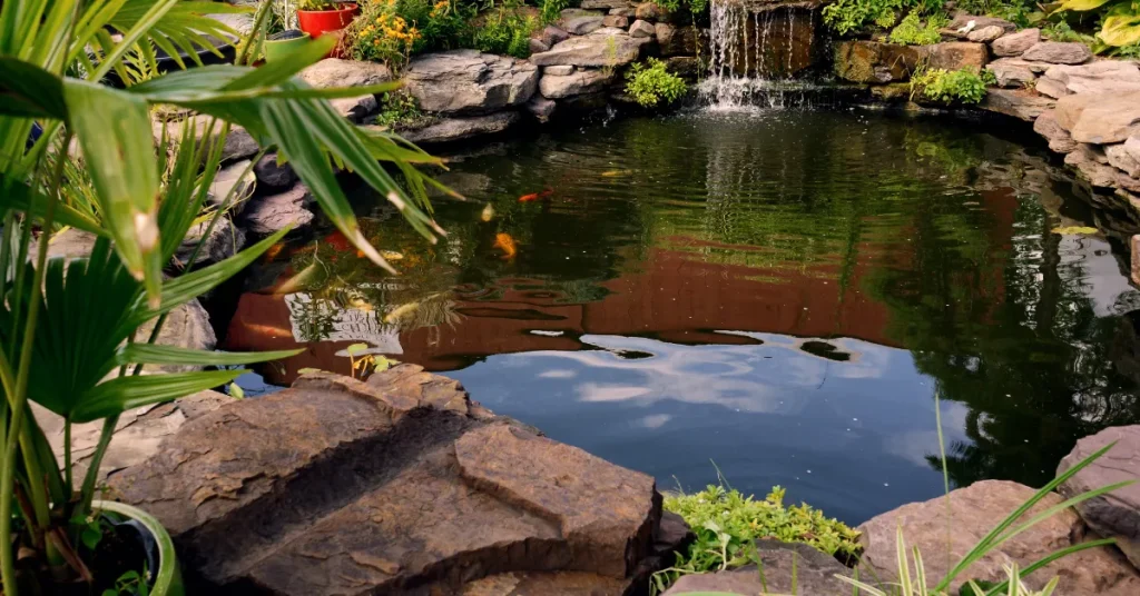 Maintenance And Management Of Fishing Pond Depth