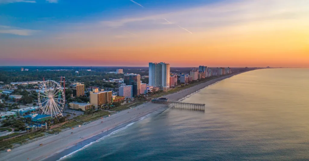 Marine Life In Myrtle Beach Waters