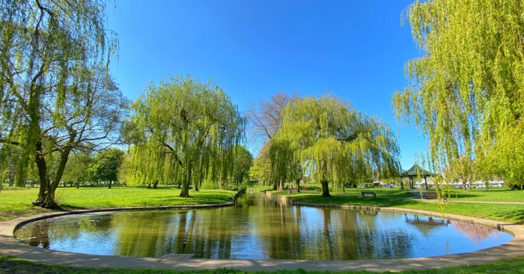 Measuring Techniques For Pond Depth