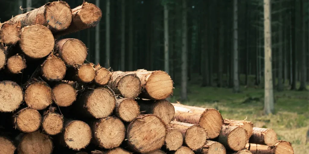 Measuring Wood Weight