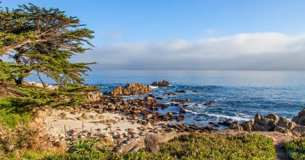 Monterey Bay's Unique Bathymetry