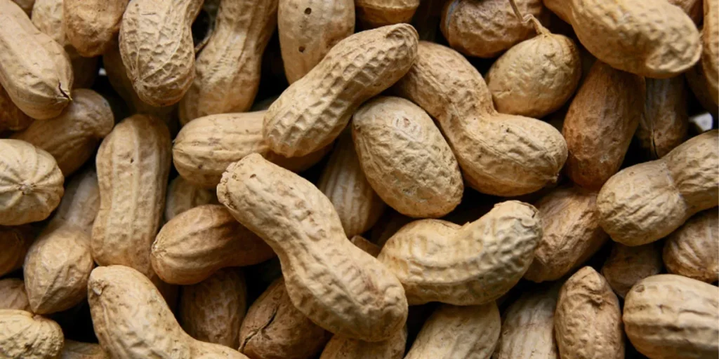 Peanut Weight Variations