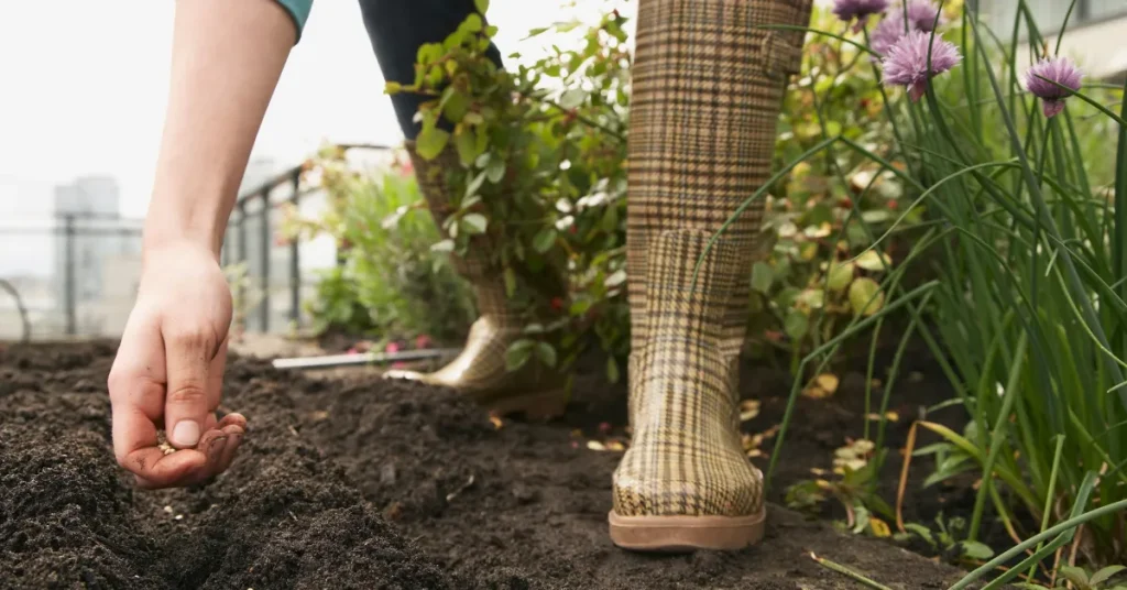 Seed Sowing Essentials