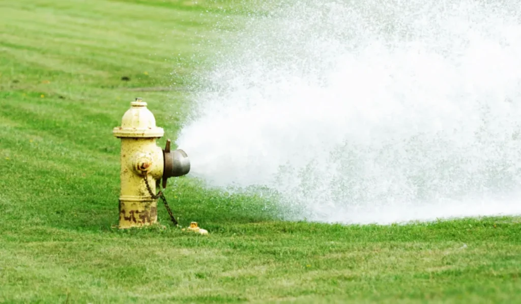 Standard Hydrant Designs