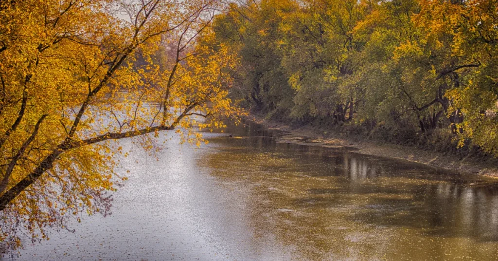 Techniques For Measuring River Depth