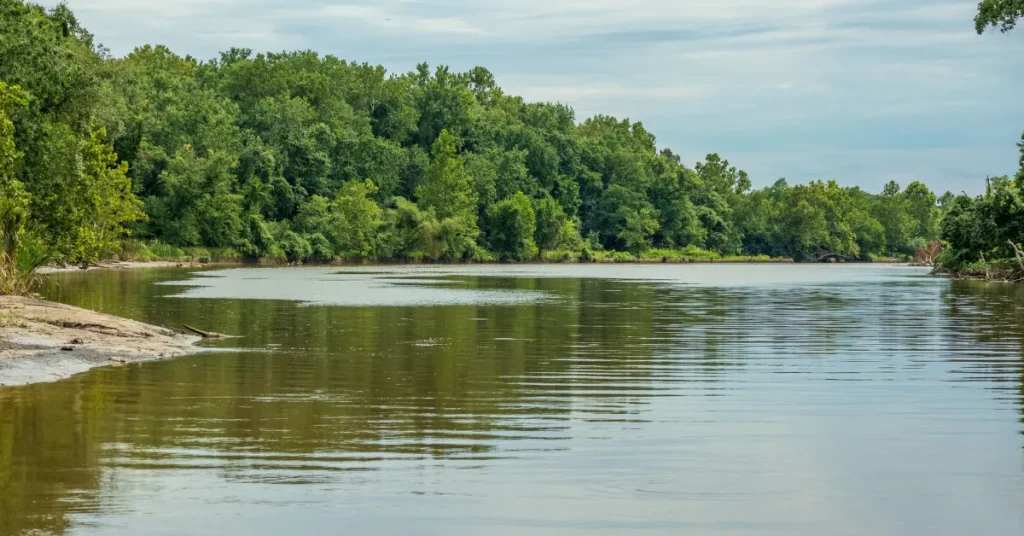 The Anacostia's Depths