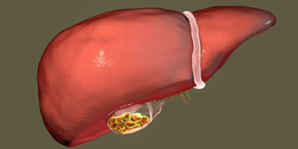 The Bladder's Basic Functions