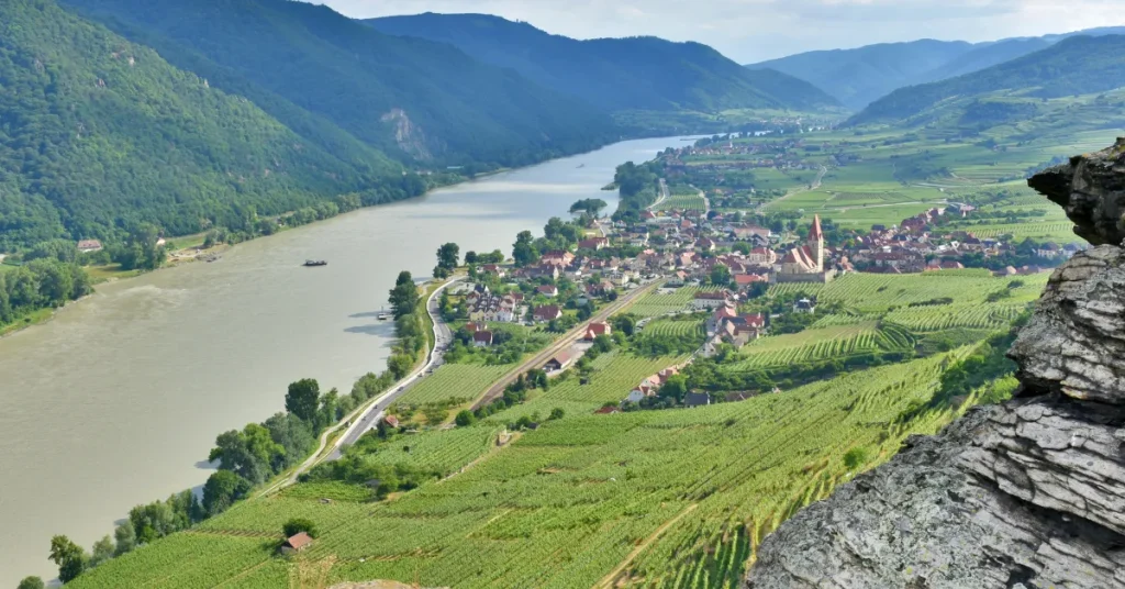 The Danube's Depths As Ecosystems