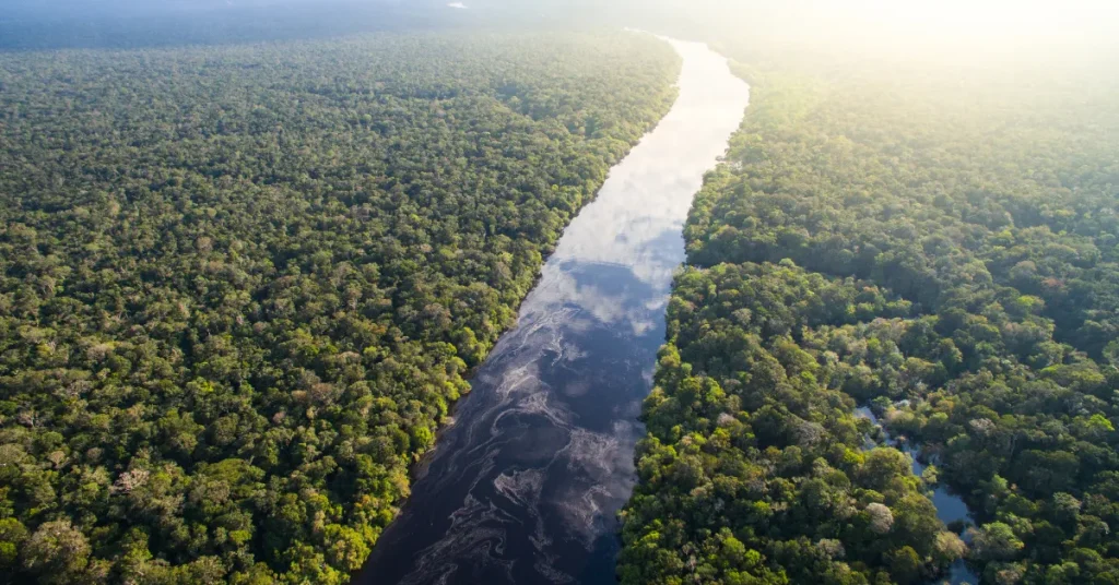 The Dynamic Nature Of River Depths