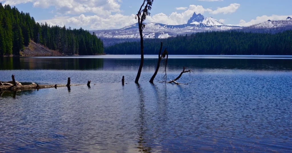 The Ecological Significance Of Lake Marion's Depth