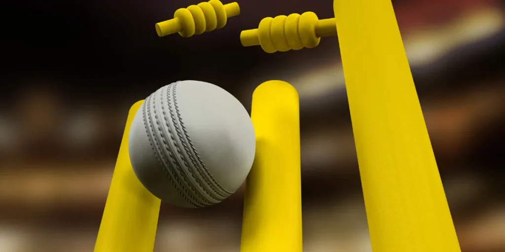 The Importance Of Cricket Ball Weight