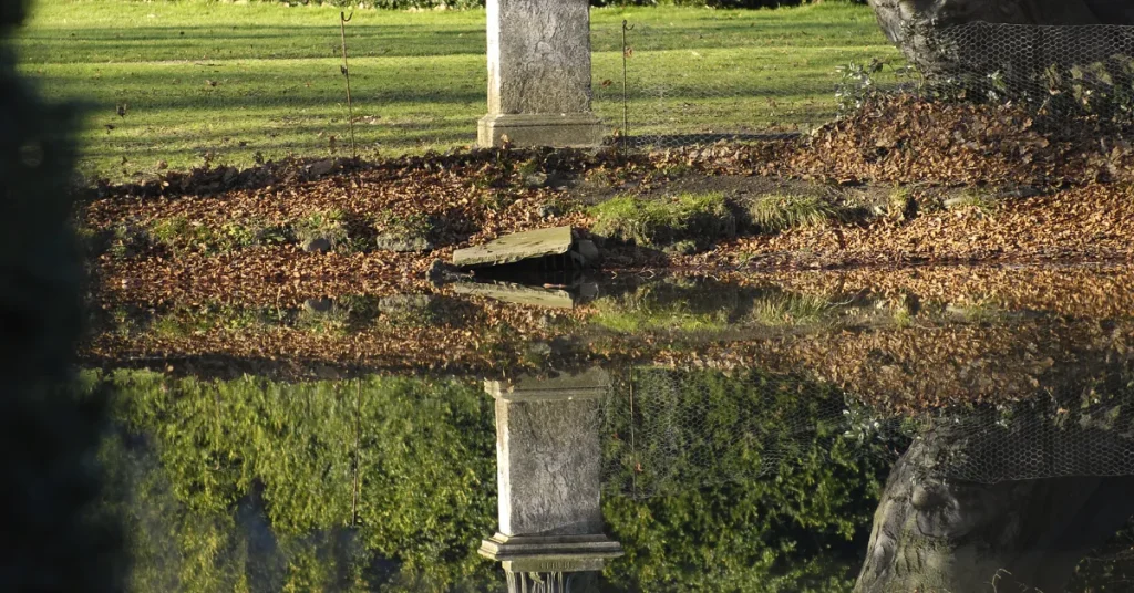 The Lake's Secret Keepers