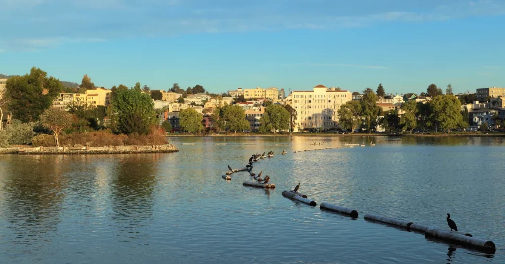 The Mysteries Of Lake Merritt