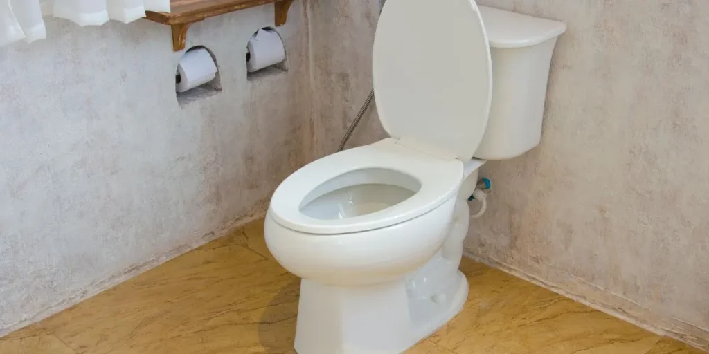 Types Of Toilets And Space Requirements